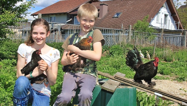 Die neunjährige Valentina und ihr Bruder Maximilian (7) sollen sich von ihren Hühnern trennen. (Bild: Marion Hörmandinger)