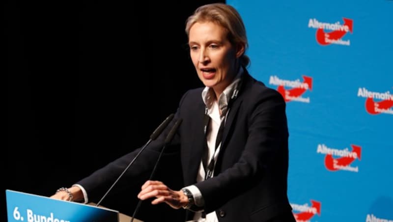 Alice Weidel, AfD-Fraktionsvorsitzende im deutschen Bundestag (Bild: AFP)