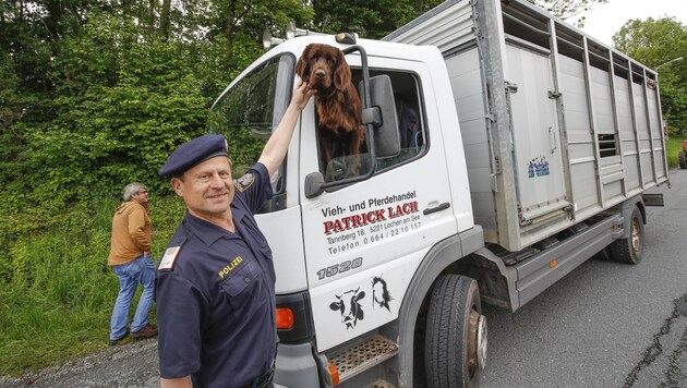 Bergheims Postenkommandant Helmut Naderer hat ein Herz für Tiere: "Sicherheit geht vor." (Bild: Markus Tschepp)
