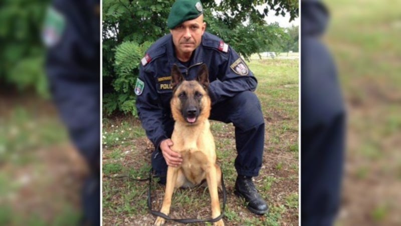 Polizeihund "Anuk" brachte die Beamten auf die Spur des Sextäters. (Bild: LPD NÖ)