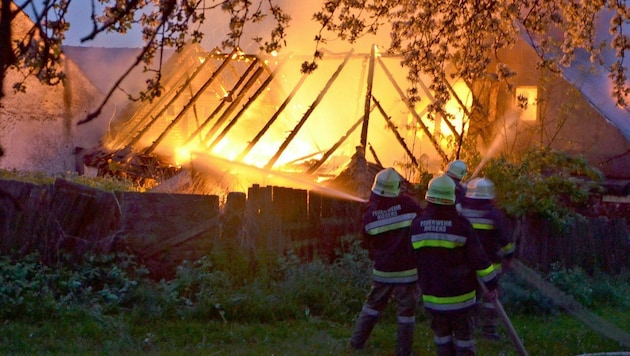 Einsatzkräfte der Feuerwehr während der Brandlöschung (Bild: APA/STEFAN MAYER)