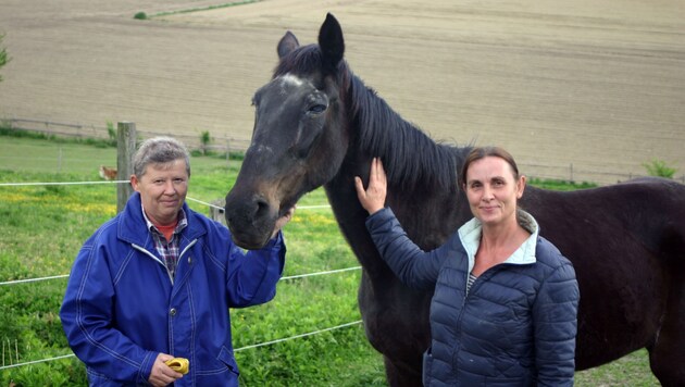 Heidi Vogt (links) besucht "Sunny" so oft sie kann. Auch ein zweites Pferd wurde beigestellt. (Bild: Claudia Fischer)