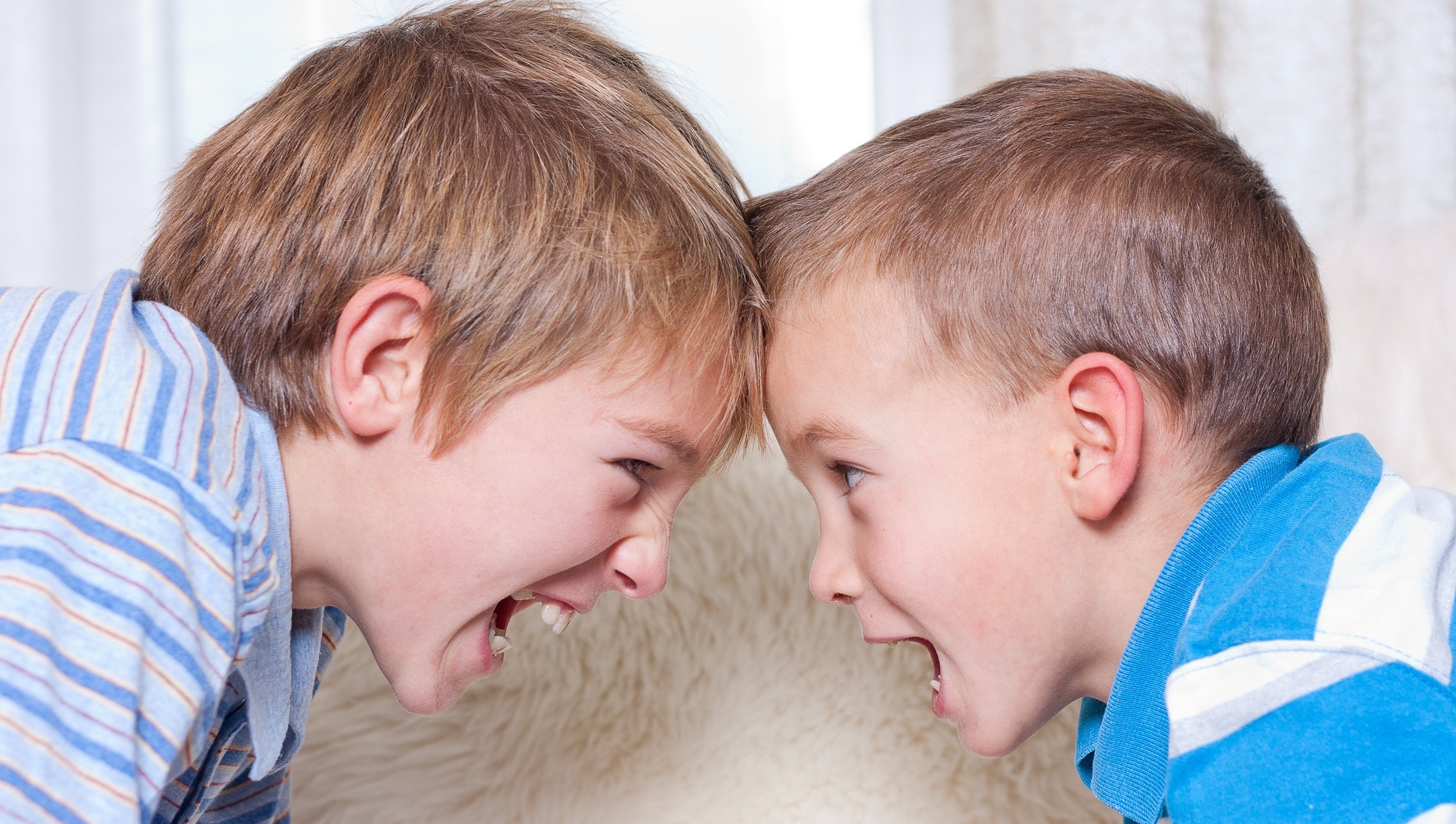 Geschwisterstreit Wenn die Kinder ständig streiten krone.at