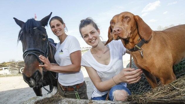 Trainerin Isabella half Theresa Scharler und Hündin "Mimi" beim Erstkontakt mit dem Pferd. (Bild: Markus Tschepp)