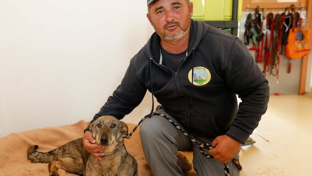 Liebevoll kümmert sich Tierpfleger Mustafa von der Pfotenhilfe Lochen um die verletzte Nana. (Bild: Pressefoto Scharinger © Marc Hiedl)
