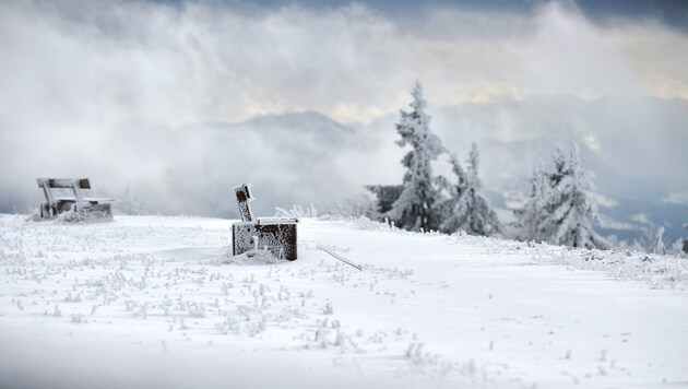 (Bild: APA/Barbara Gindl)