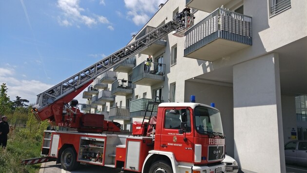 Die Feuerwehr rettete die junge Mutter vom Balkon. (Bild: Presseteam der Feuerwehr Wiener Neustadt)