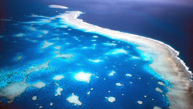 Das Great Barrier Reef vor Australien aus der Luft fotografiert (Bild: Great Barrier Reef Marine Park)
