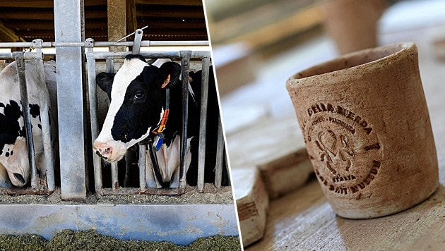 150 Tonnen Kuhmist produziert das Vieh von Gianantonio Locatelli, er macht daraus praktische Dinge. (Bild: AFP)