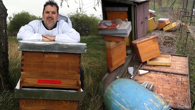 Dreiste Diebe stahlen 13 Bienenstöcke des burgenländischen Imkers Markus Bleich. (Bild: Christian Schulter, Stadtimker Felix Munk)