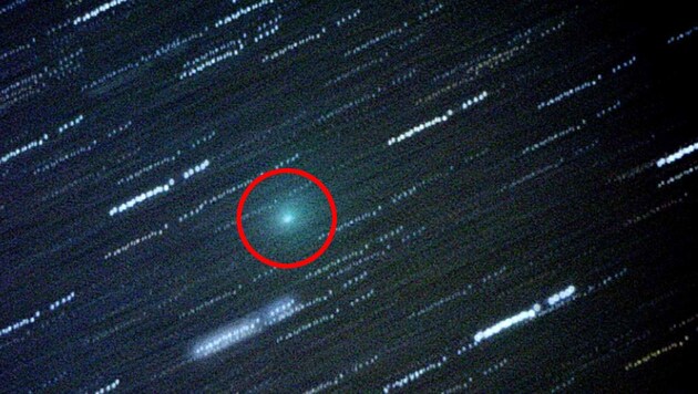 Der Komet 41P/Tuttle-Giacobini-Kresak, aufgenommen 2006 (Bild: John Drummond)