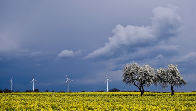 (Bild: APA/dpa-Zentralbild/Patrick Pleu)