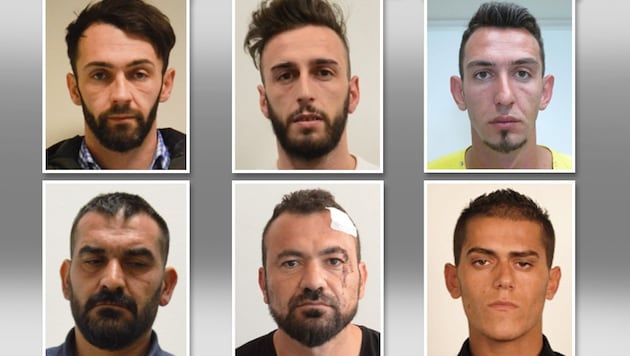 Diese sechs Männer sitzen nun in Haft. (Bild: LKA NÖ)