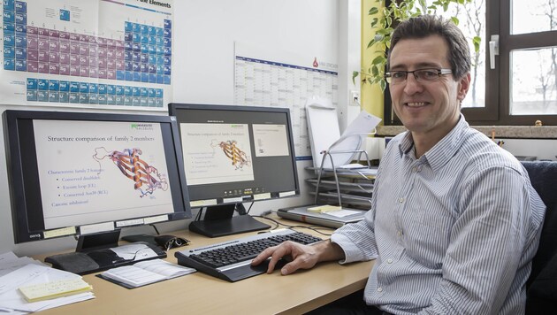 Molekularbiologe Univ.-Prof. Dr. Hans Brandstetter, Universität Salzburg (Bild: Andreas Kolarik/Leo)