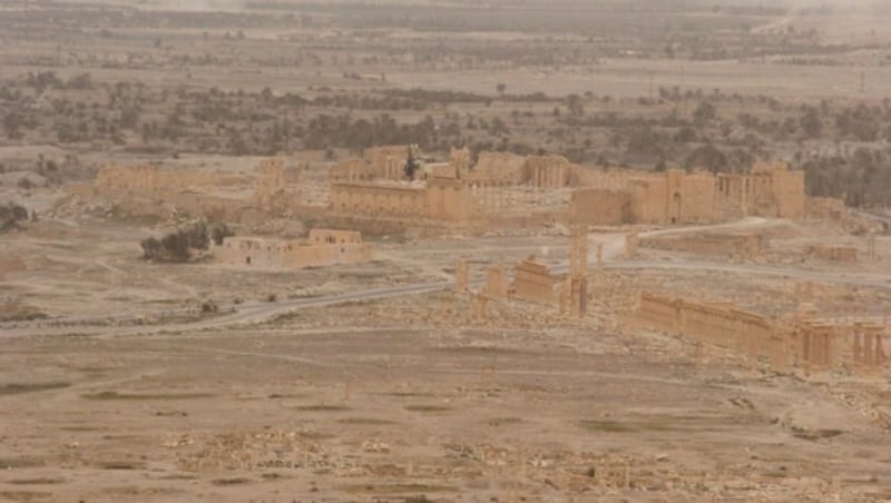 Die Oasenstadt Palmyra war bis vor Kurzem noch fest in der Hand des Islamischen Staates. (Bild: APA/AFP/Maher al Mouner)