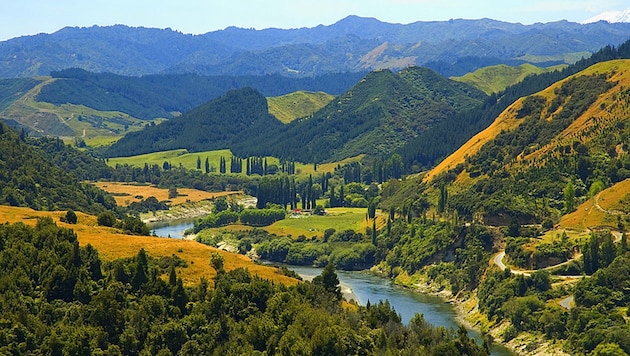 Whanganui River (Bild: Wikipedia/James Shook (CC BY 2.5))