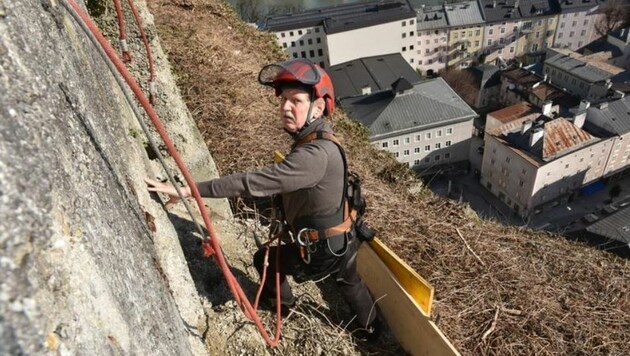 Statiker Manfred Armstorfer begutachtete die schadhafte Wand über den Dächern der Stadt. (Bild: Stadt Salzburg/Killer)