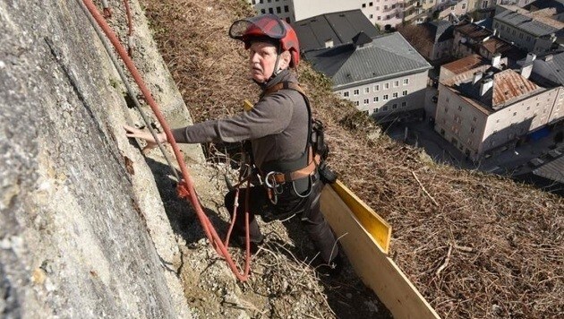Statiker Manfred Armstorfer begutachtete die schadhafte Wand über den Dächern der Stadt. (Bild: Stadt Salzburg/Killer)