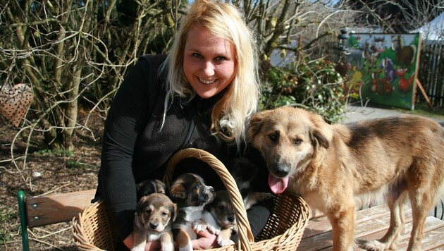 Johanna Stadler von der Pfotenhilfe Lochen mit Rosi und ihren entzückenden fünf Babys. (Bild: unbekannt)