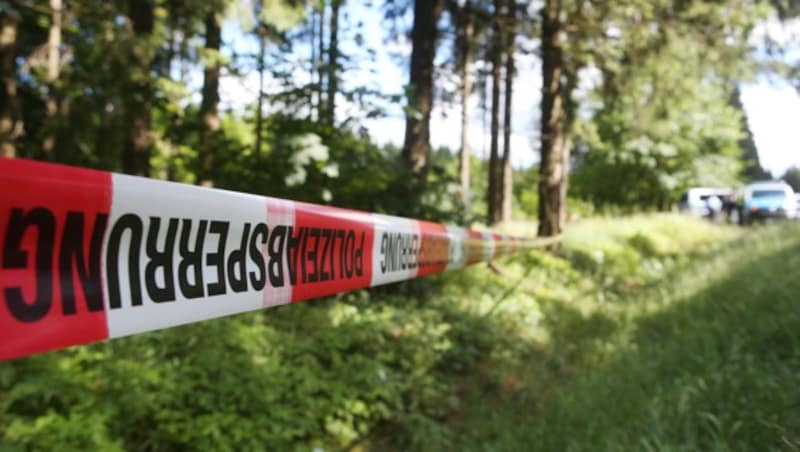 Die Polizei untersucht jenes Waldstück, in dem die Leichenteile gefunden wurden. (Bild: APA/dpa-Zentralbild/Bodo Schackow)