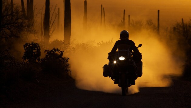 Mit dem Motorrad in der Sonorawüste (Bild: Michael Martin)