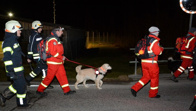 Insgesamt 130 Helfer waren mit Suchhunden drei Stunden im Großeinsatz, um den Lenker zu finden. (Bild: FF Sulzbach)