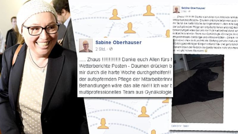 (Bild: APA/HELMUT FOHRINGER, facebook.com/sabine.oberhauser)