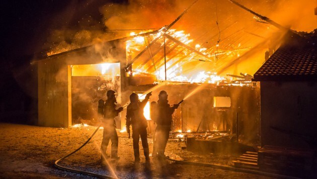Der Stall ging komplett in Flammen auf. (Bild: APA/BFK KREMS/MANFRED WIMMER)