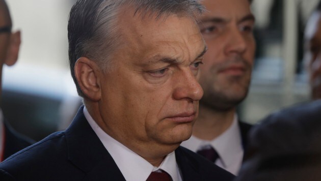 Orban-Schwiegersohn unter Betrugsverdacht | krone.at