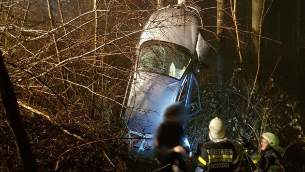 Mit diesem Auto stürzte nachts ein betrunkener Oststeirer in den Wald. (Bild: FF Eichkögl)