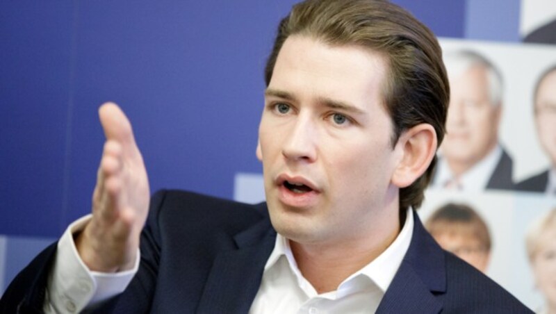 Außenminister Sebastian Kurz (Bild: APA/Georg Hochmuth)