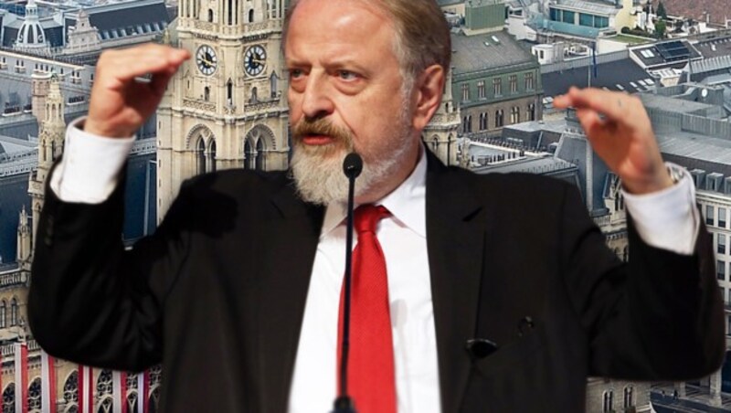 Ex-SPÖ-Bundesgeschäftsführer Gerhard Schmid (Bild: APA/HERBERT NEUBAUER, Jürgen Radspieler)