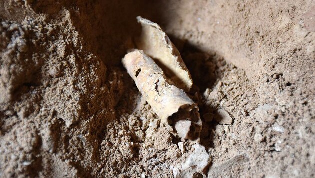Eine in der Höhle gefundene, unbeschriebene Pergamentrolle (Bild: Hebrew University/Casey L. Olson & Oren Gutfeld)