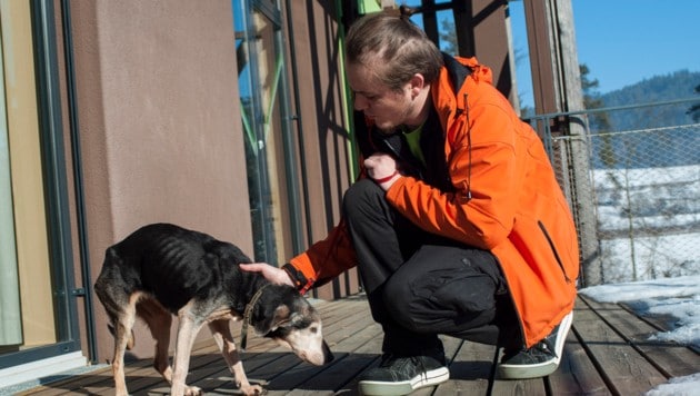 Tierpfleger Ron ist entsetzt über den erbarmungswürdigen Zustand der armen und zugetanen "Antonia". (Bild: Sonja Widerström/Tiko)