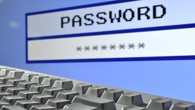 Immer häufiger werden im Internet Passwörter verlangt - viele verwenden eines für mehrere Programme. (Bild: APA/dpa/Julian Stratenschulte)