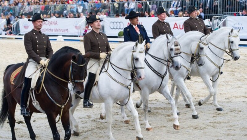 Spanische Hofreitschule (Bild: APA/EXPA/MICHAEL GRUBER)