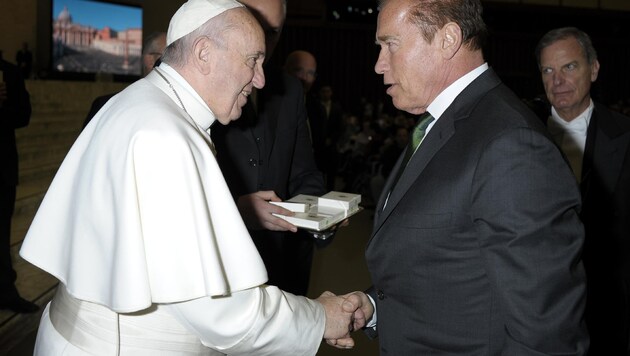 Papst Franziskus schüttelt Arnold Schwarzenegger die Hand. (Bild: AP)