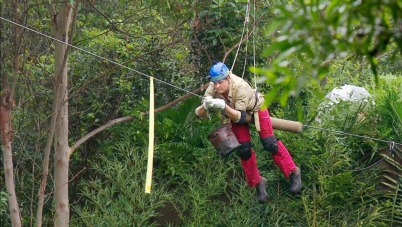 Jens bei der Dschungelprüfung (Bild: RTL)