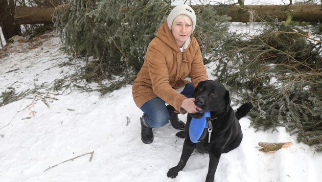 Gertrude Haselmayr mit ihrem Labrador â01EBennyâ01C, der zum Lebensretter wurde. (Bild: Matthias Lauber)