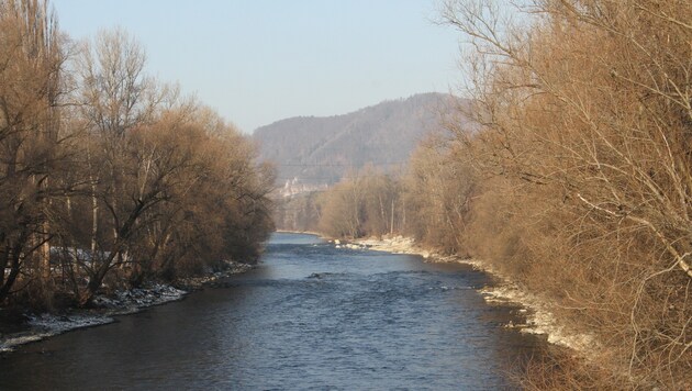 Von Andritz bis Gösting: Graz macht 73 Hektar großes Areal entlang der Mur zum Naturschutzgebiet. (Bild: Kronenzeitung)