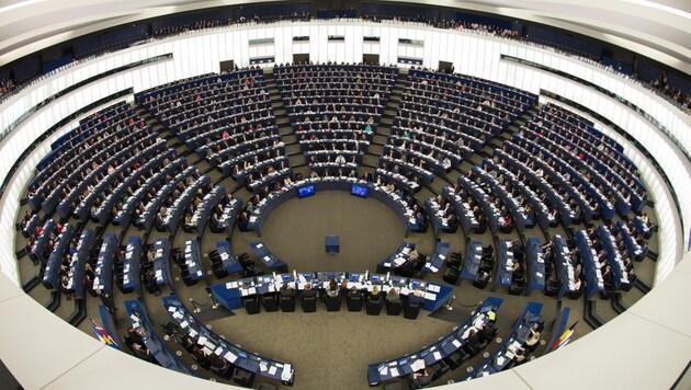 Das EU-Parlament in Straßburg (Bild: APA/EPA/Patrick Seeger)