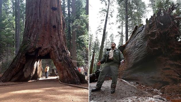 (Bild: California State Parks, Associated Press)