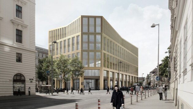 So soll das neue Gebäude an der Wiener Rathausstraße 1 aussehen. (Bild: Markus Hofstaetter/www.hofstaetter.co)