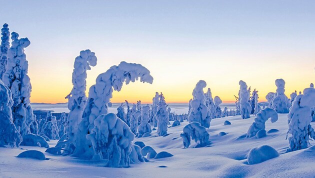 Finnisch-Lappland: Hier gibt es mit Garantie den Winterzauber. (Bild: Fotolia)