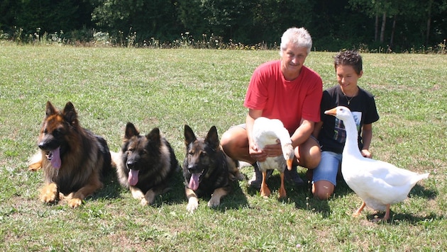 Drei Schäferhunde und zwei Gänse: Günter und Sohn Hannes lieben ihre Tiere. (Bild: Claudia Fischer)