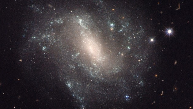 (Bild: NASA, ESA und A. Riess (STScI/JHU))