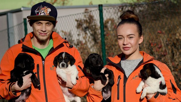 Dominik und Celine mit den Welpen. (Bild: Puschitz/Tiko)