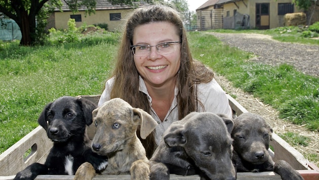Claudia Herka kämpft gegen Tierleid. (Bild: Klemens Groh)
