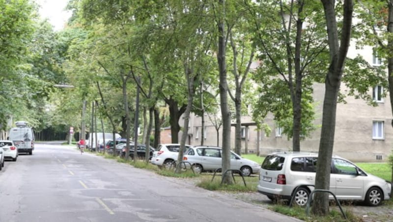 In einer Wohnung in der Rustenschacher Allee kam es zur Massenvergewaltigung. (Bild: Zwefo)