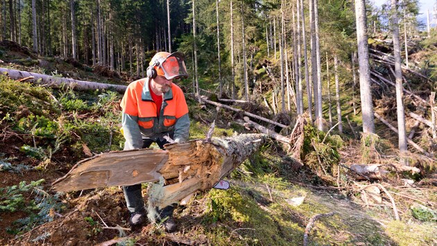 Am Samstagabend verletzte sich ein 72-jähriger Zillertaler bei Holzarbeiten schwer (Symbolbild). (Bild: ÖBF/Wolfgang Simlinger)